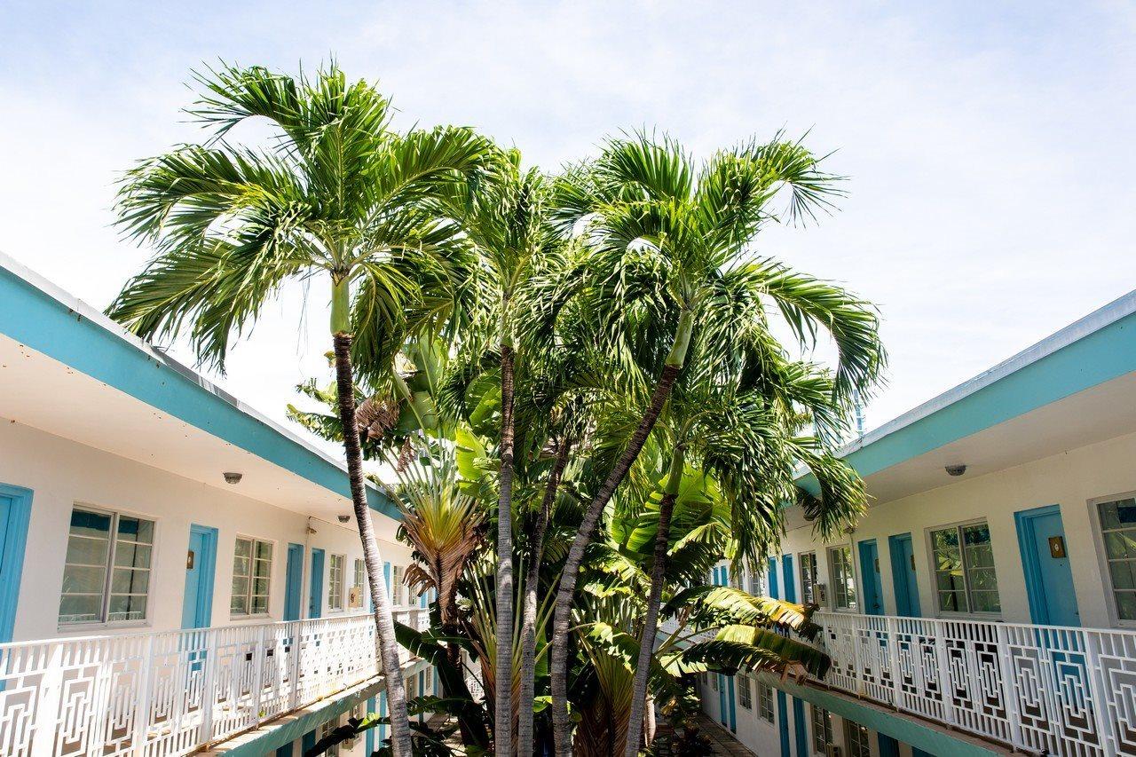 فندق ميامي بيتشفي  فندق وأجنحة أكوا المظهر الخارجي الصورة